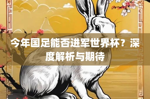 今年国足能否进军世界杯？深度解析与期待
