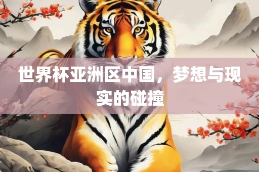 世界杯亚洲区中国，梦想与现实的碰撞