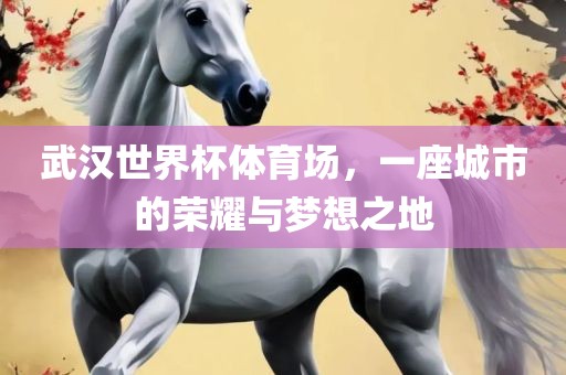 武汉世界杯体育场，一座城市的荣耀与梦想之地