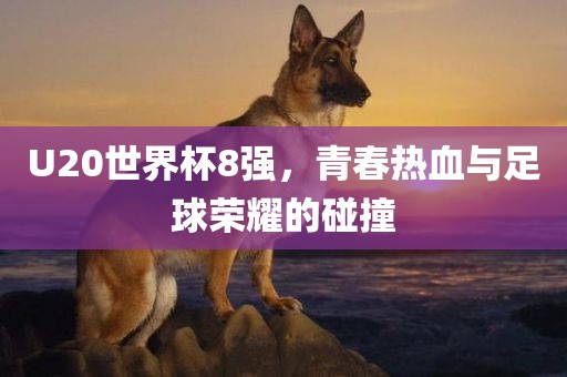 U20世界杯8强，青春热血与足球荣耀的碰撞
