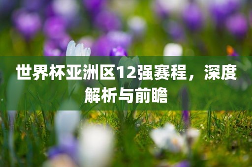 世界杯亚洲区12强赛程，深度解析与前瞻