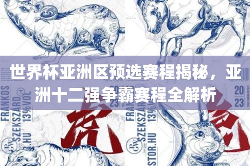 世界杯亚洲区预选赛程揭秘，亚洲十二强争霸赛程全解析