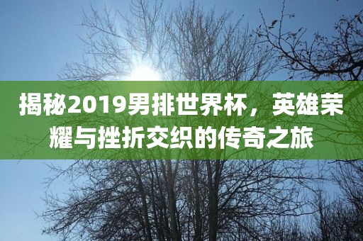 揭秘2019男排世界杯，英雄荣耀与挫折交织的传奇之旅