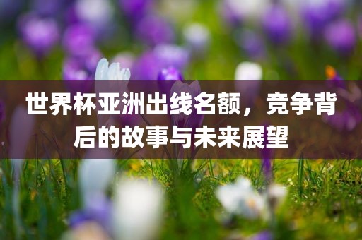 世界杯亚洲出线名额，竞争背后的故事与未来展望