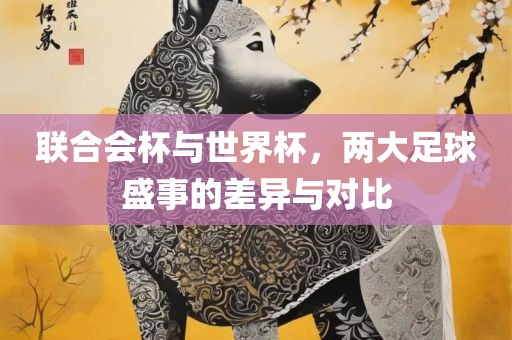 联合会杯与世界杯，两大足球盛事的差异与对比