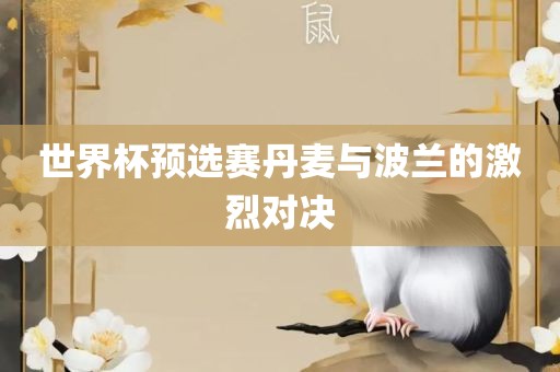 世界杯预选赛丹麦与波兰的激烈对决