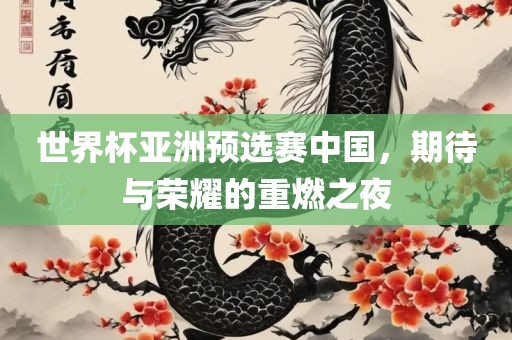 世界杯亚洲预选赛中国，期待与荣耀的重燃之夜
