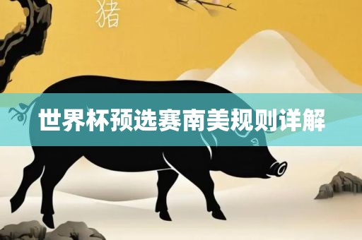 世界杯预选赛南美规则详解