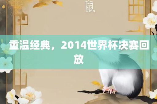 重温经典，2014世界杯决赛回放