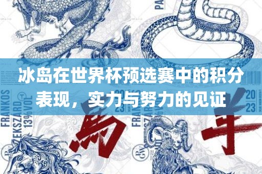 冰岛在世界杯预选赛中的积分表现，实力与努力的见证