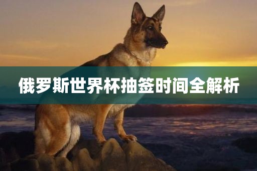 俄罗斯世界杯抽签时间全解析