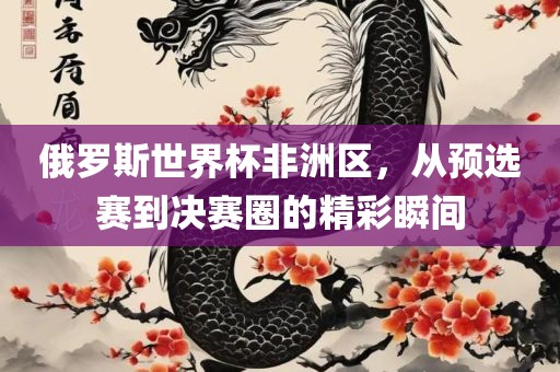 俄罗斯世界杯非洲区，从预选赛到决赛圈的精彩瞬间