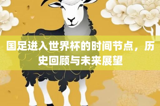 国足进入世界杯的时间节点，历史回顾与未来展望