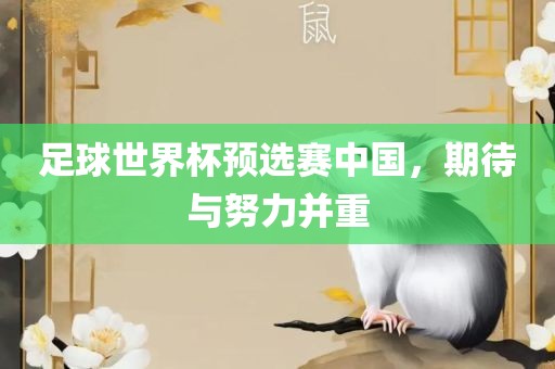 足球世界杯预选赛中国，期待与努力并重