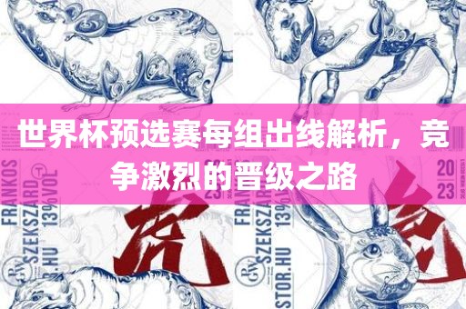 世界杯预选赛每组出线解析，竞争激烈的晋级之路