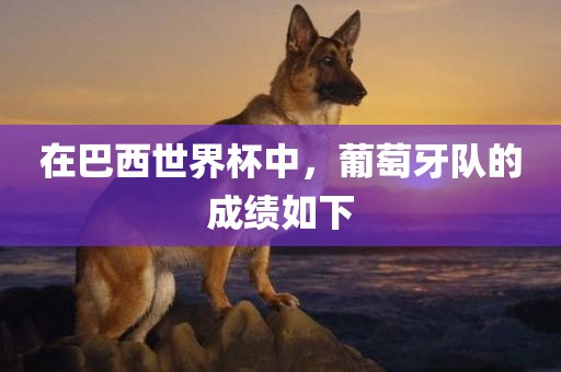 在巴西世界杯中，葡萄牙队的成绩如下