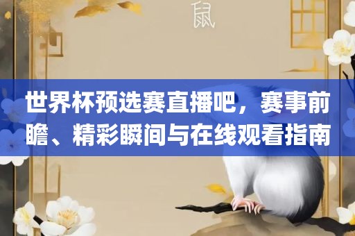 世界杯预选赛直播吧，赛事前瞻、精彩瞬间与在线观看指南