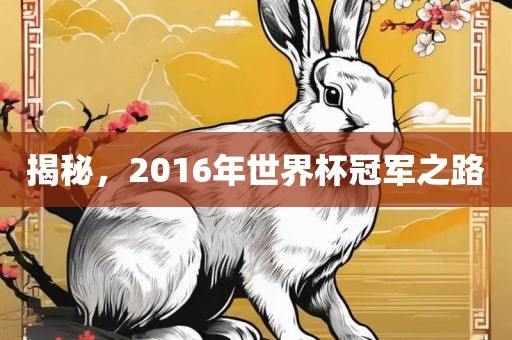 揭秘，2016年世界杯冠军之路