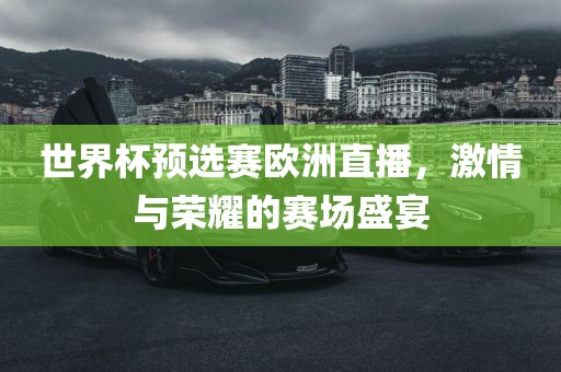 世界杯预选赛欧洲直播，激情与荣耀的赛场盛宴