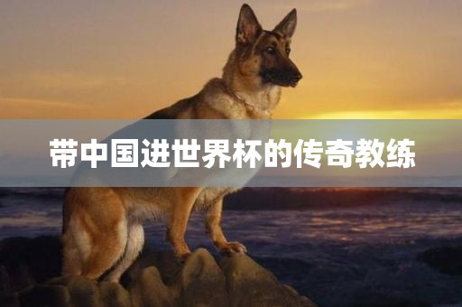带中国进世界杯的传奇教练