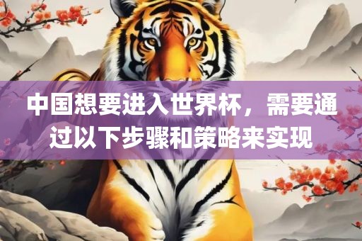 中国想要进入世界杯，需要通过以下步骤和策略来实现