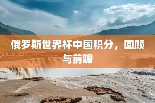俄罗斯世界杯中国积分，回顾与前瞻