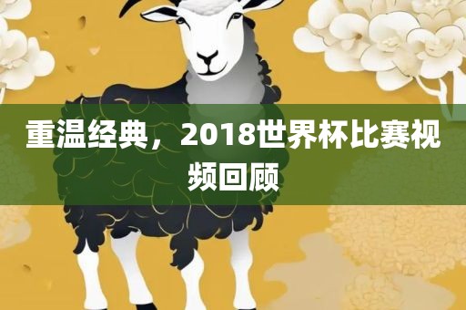 重温经典，2018世界杯比赛视频回顾