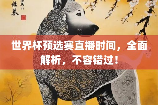 世界杯预选赛直播时间，全面解析，不容错过！