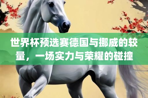 世界杯预选赛德国与挪威的较量，一场实力与荣耀的碰撞