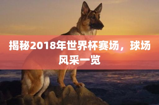 揭秘2018年世界杯赛场，球场风采一览