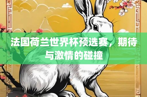 法国荷兰世界杯预选赛，期待与激情的碰撞