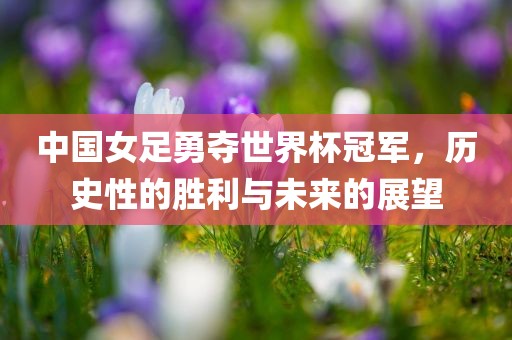 中国女足勇夺世界杯冠军，历史性的胜利与未来的展望