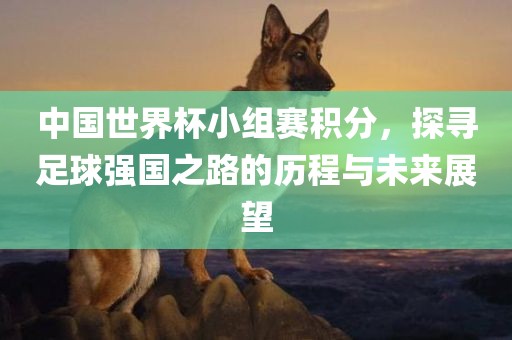 中国世界杯小组赛积分，探寻足球强国之路的历程与未来展望