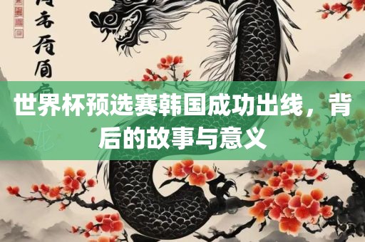 世界杯预选赛韩国成功出线，背后的故事与意义