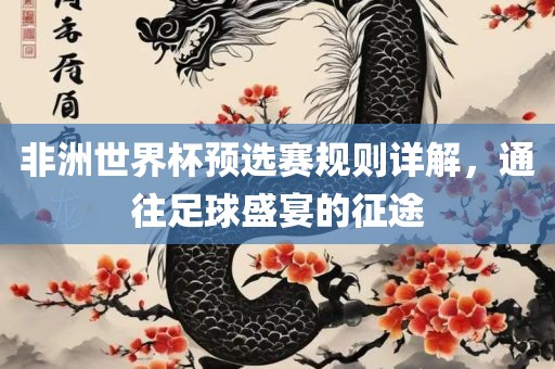 非洲世界杯预选赛规则详解，通往足球盛宴的征途