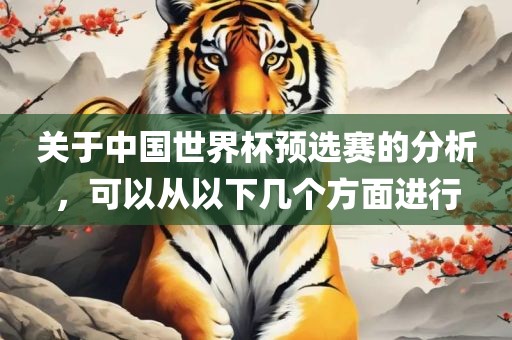 关于中国世界杯预选赛的分析，可以从以下几个方面进行