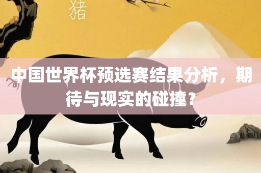 中国世界杯预选赛结果分析，期待与现实的碰撞？