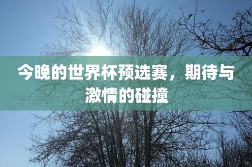 今晚的世界杯预选赛，期待与激情的碰撞