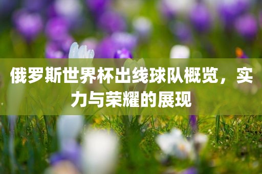 俄罗斯世界杯出线球队概览，实力与荣耀的展现