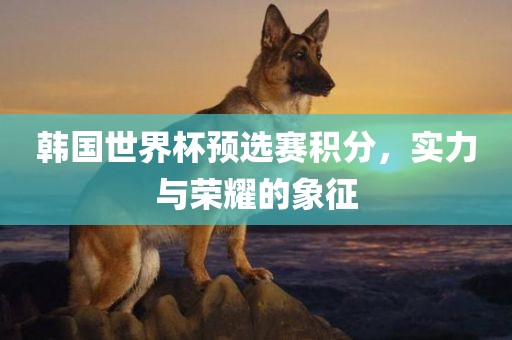 韩国世界杯预选赛积分，实力与荣耀的象征