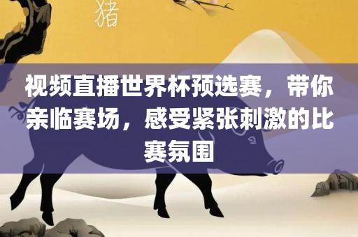 视频直播世界杯预选赛，带你亲临赛场，感受紧张刺激的比赛氛围