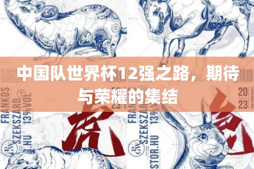 中国队世界杯12强之路，期待与荣耀的集结