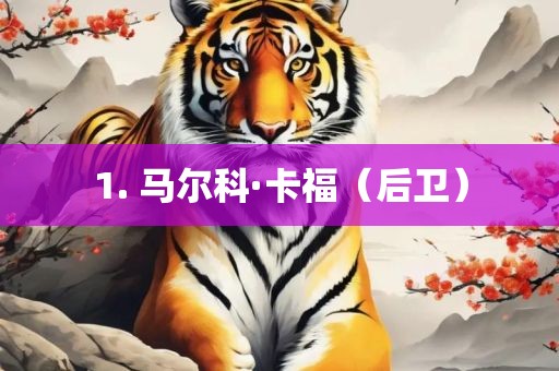 1. 马尔科·卡福（后卫）