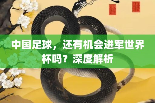 中国足球，还有机会进军世界杯吗？深度解析