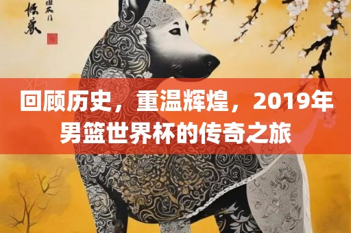 回顾历史，重温辉煌，2019年男篮世界杯的传奇之旅