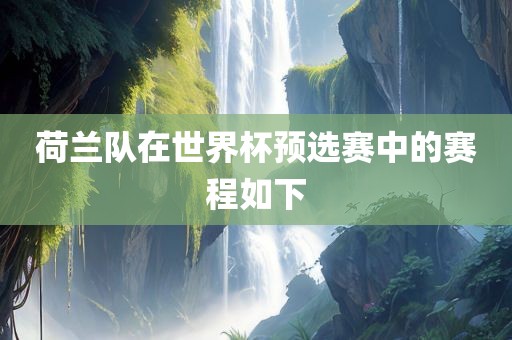 荷兰队在世界杯预选赛中的赛程如下