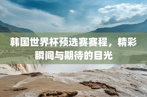韩国世界杯预选赛赛程，精彩瞬间与期待的目光