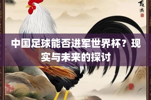 中国足球能否进军世界杯？现实与未来的探讨