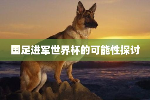 国足进军世界杯的可能性探讨