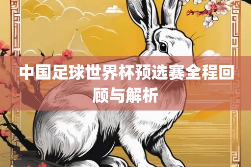 中国足球世界杯预选赛全程回顾与解析